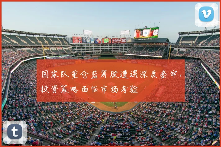 国家队重仓蓝筹股遭遇深度套牢,投资策略面临市场考验