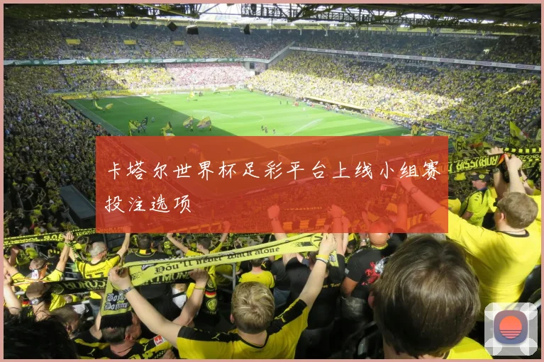 卡塔尔世界杯足彩平台上线小组赛投注选项