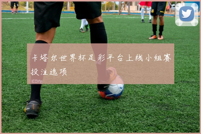 卡塔尔世界杯足彩平台上线小组赛投注选项