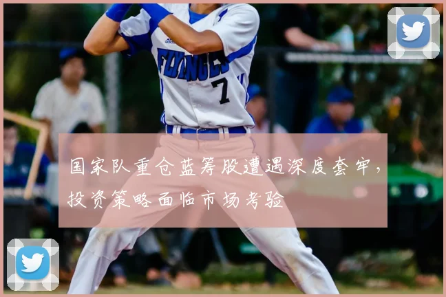 国家队重仓蓝筹股遭遇深度套牢，投资策略面临市场考验