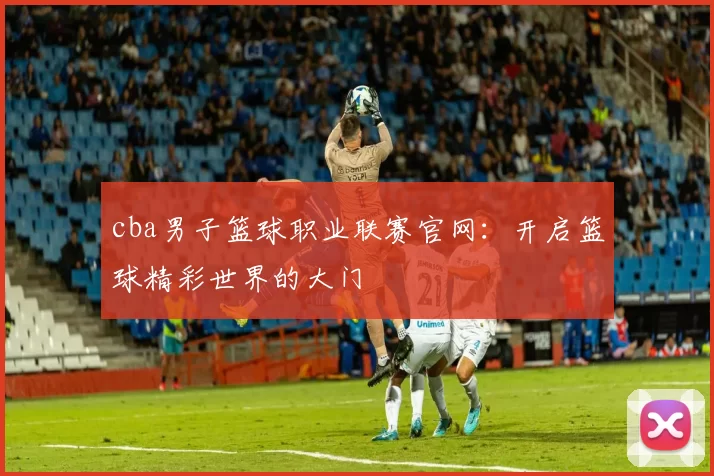cba男子篮球职业联赛官网：开启篮球精彩世界的大门