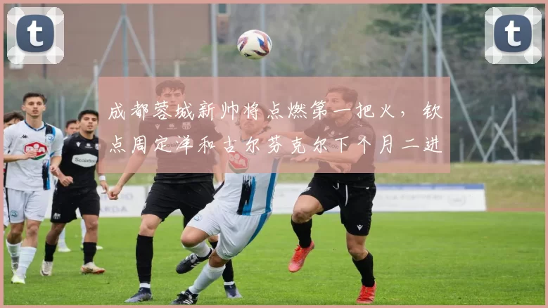 成都蓉城新帅将点燃第一把火，钦点周定洋和古尔芬克尔下个月二进宫，被辟谣_木和_约翰阿洛伊西_1